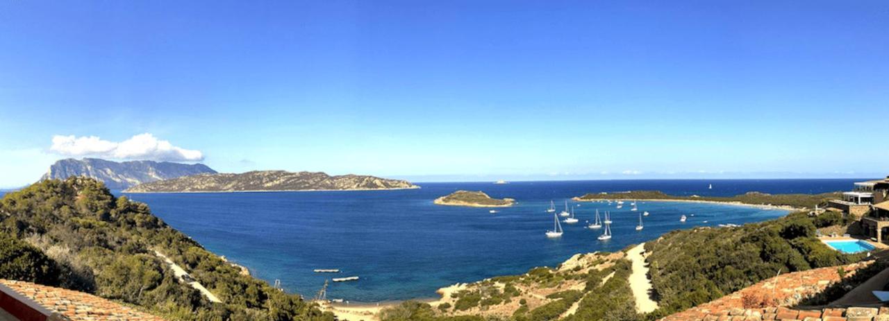 San Teodoro Punta Est Fantastico Trilocale Vista Mare Lägenhet Capo Coda Cavallo Exteriör bild