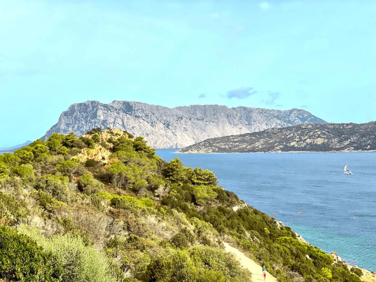 San Teodoro Punta Est Fantastico Trilocale Vista Mare Lägenhet Capo Coda Cavallo Exteriör bild