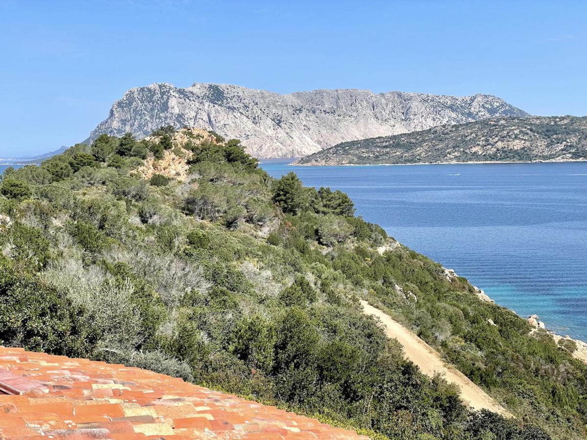 San Teodoro Punta Est Fantastico Trilocale Vista Mare Lägenhet Capo Coda Cavallo Exteriör bild