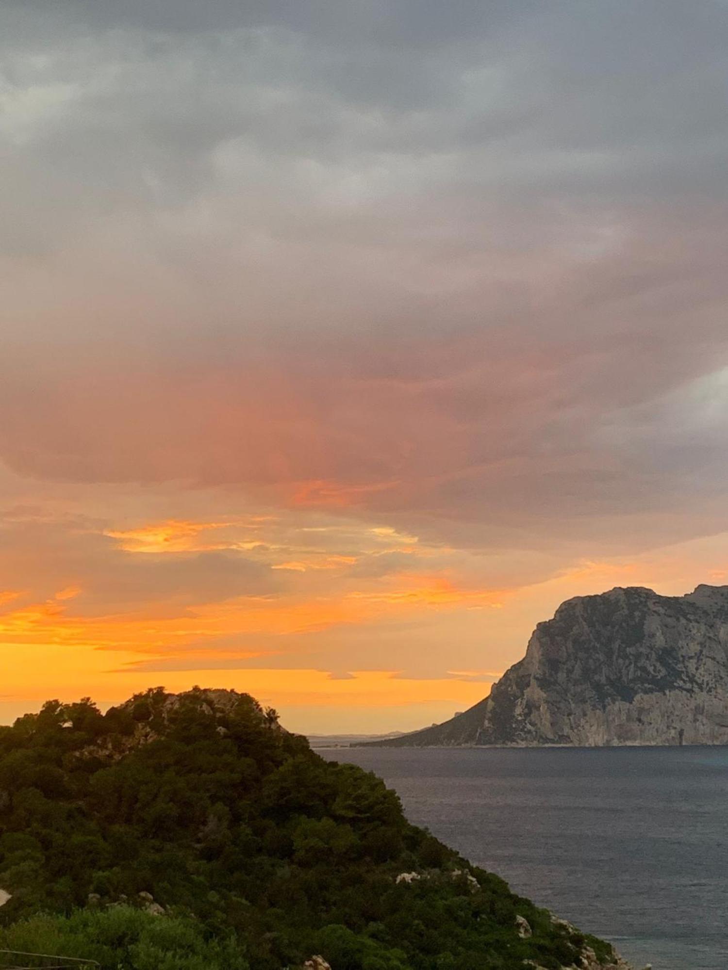 San Teodoro Punta Est Fantastico Trilocale Vista Mare Lägenhet Capo Coda Cavallo Exteriör bild